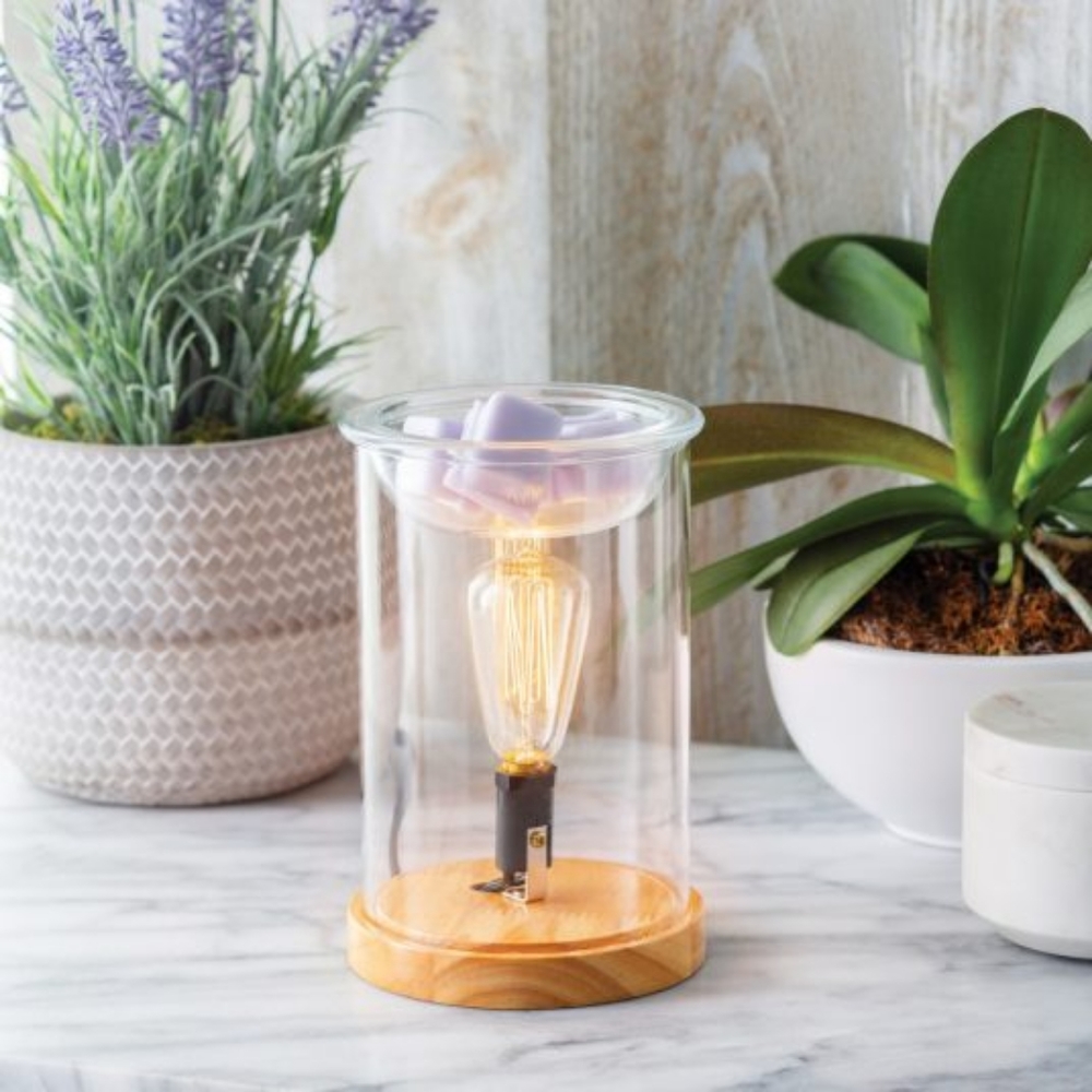 Vintage Bulb Illumination Fragrance Warmer